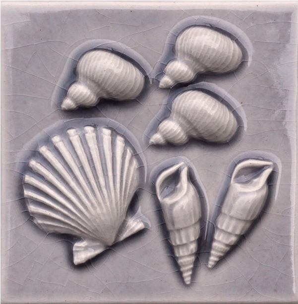 154-snails Cockle Phos Shells - Baltic Clam Clipart (864x864), Png Download