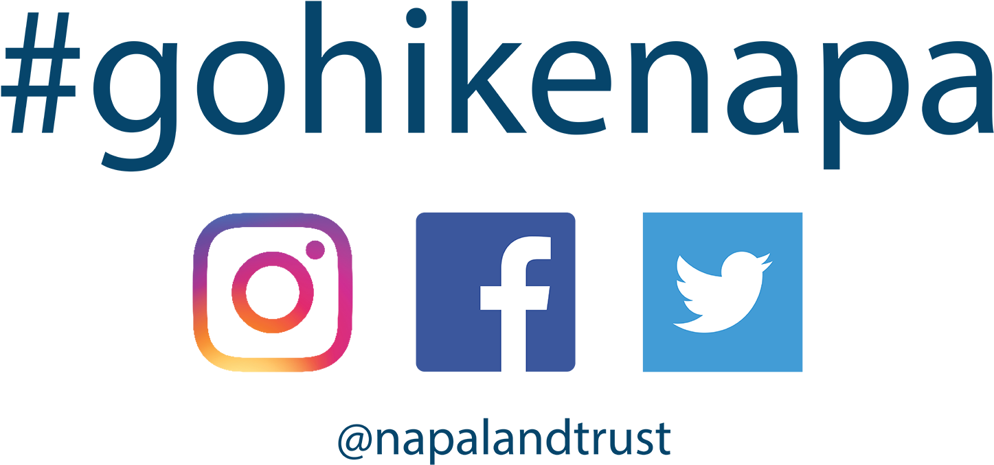 12 - Twitter Chat Clipart (1600x1067), Png Download