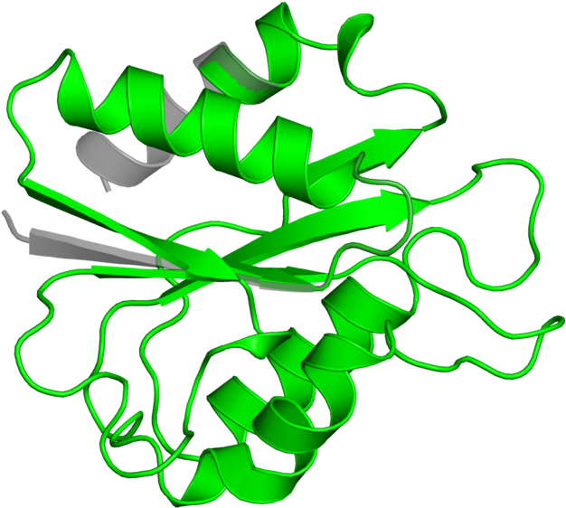 Illustration Clipart (800x800), Png Download