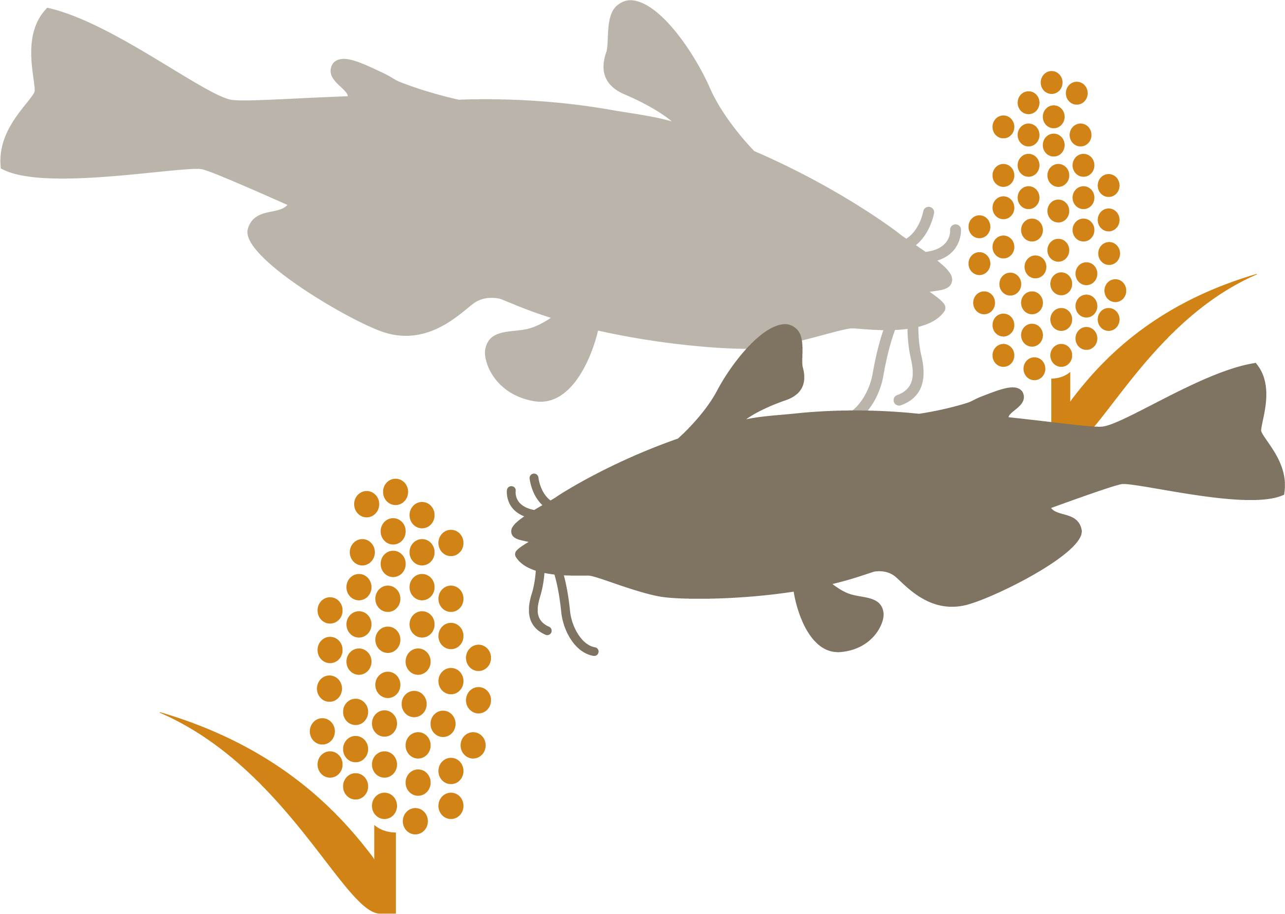 Catfish - Square Plastic Plates Gold Clipart (2612x1859), Png Download