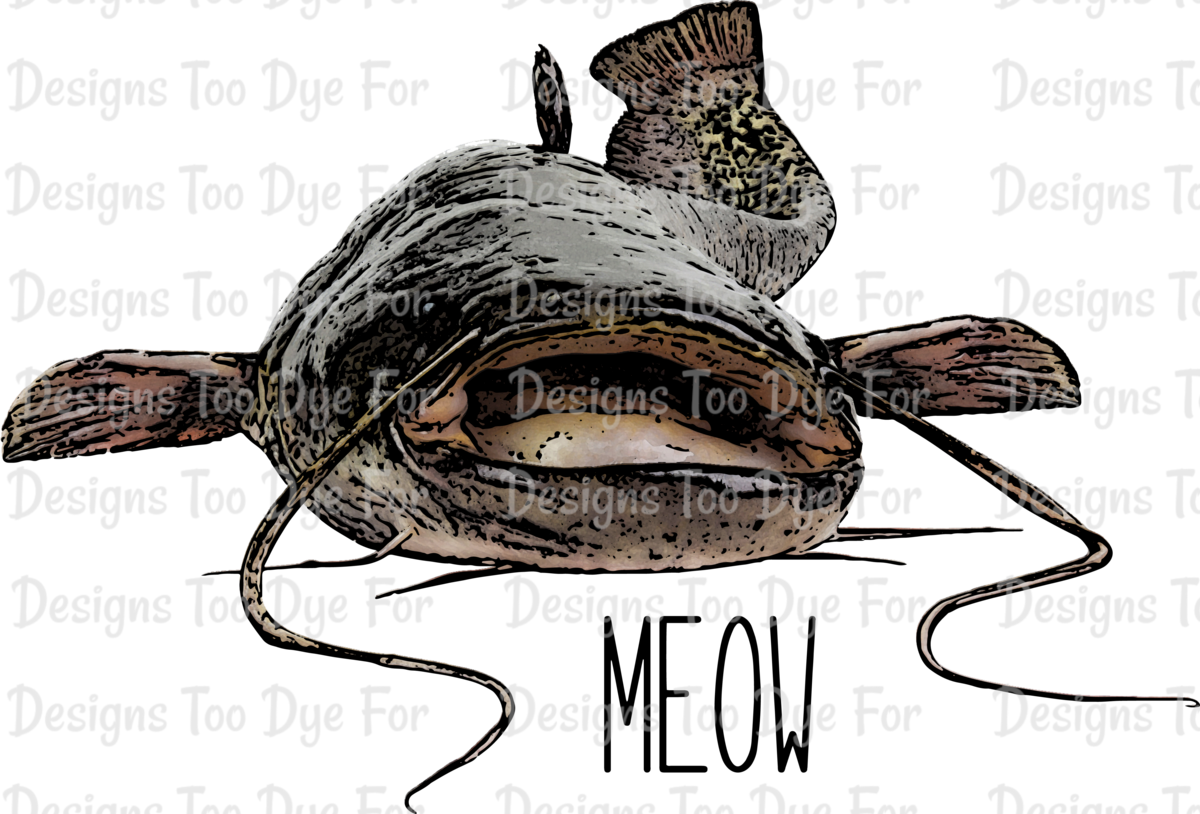 鲶鱼 Clipart (1200x814), Png Download