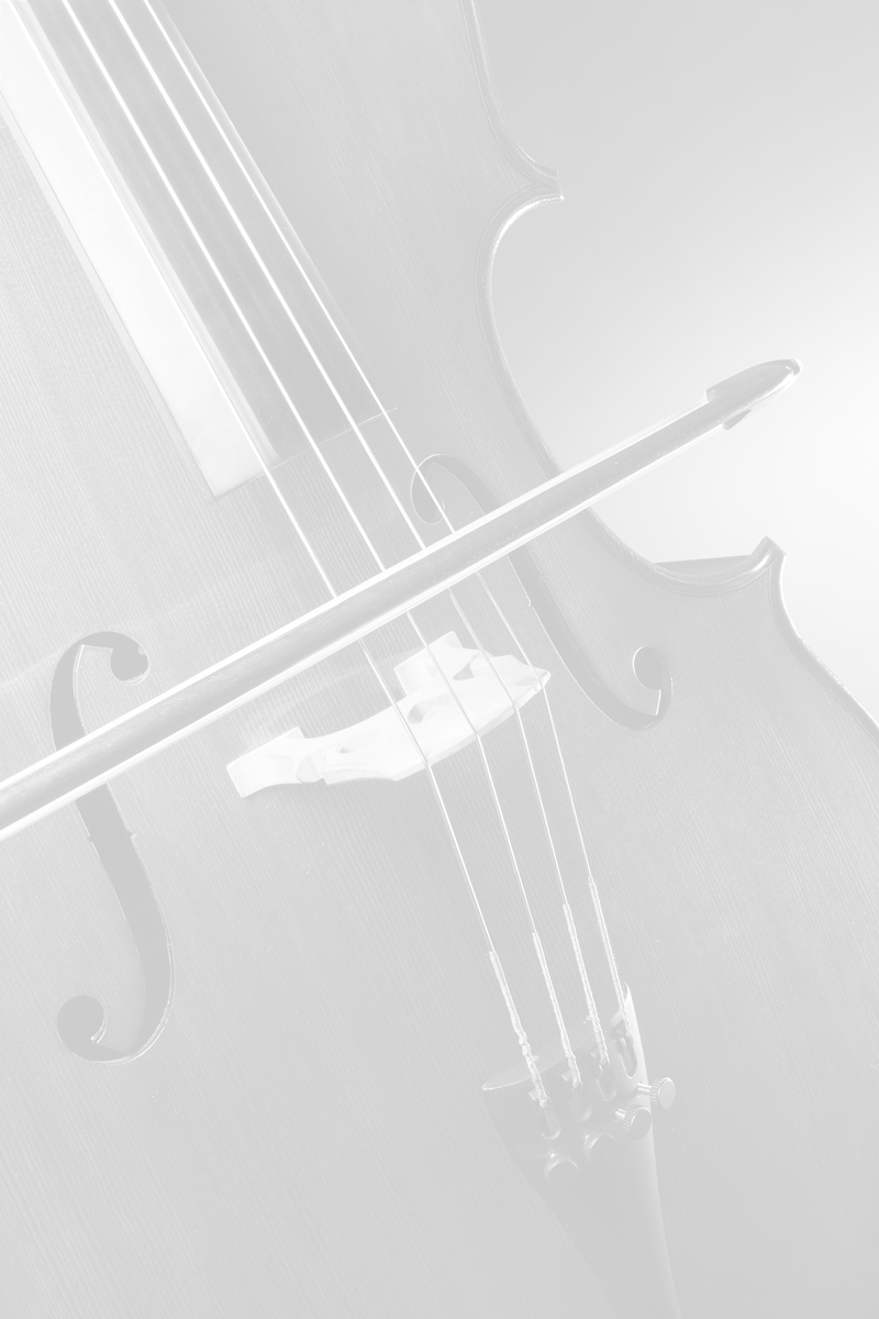 About Us - Viola Clipart (800x1200), Png Download