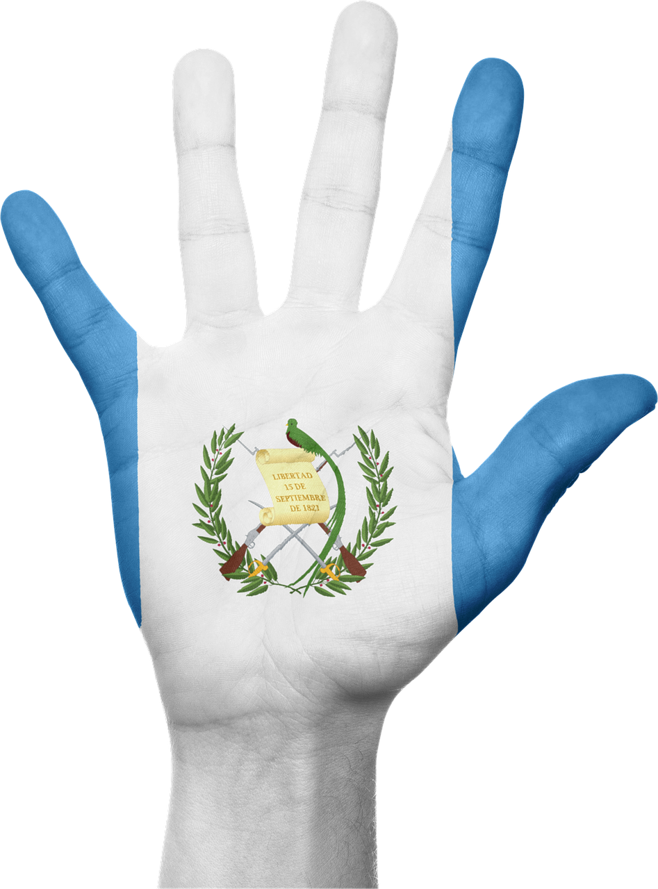 Guatemala, Flag, Hand, National, Fingers, Patriotic - De Bandera De Guatemala Full Hd Clipart (532x720), Png Download