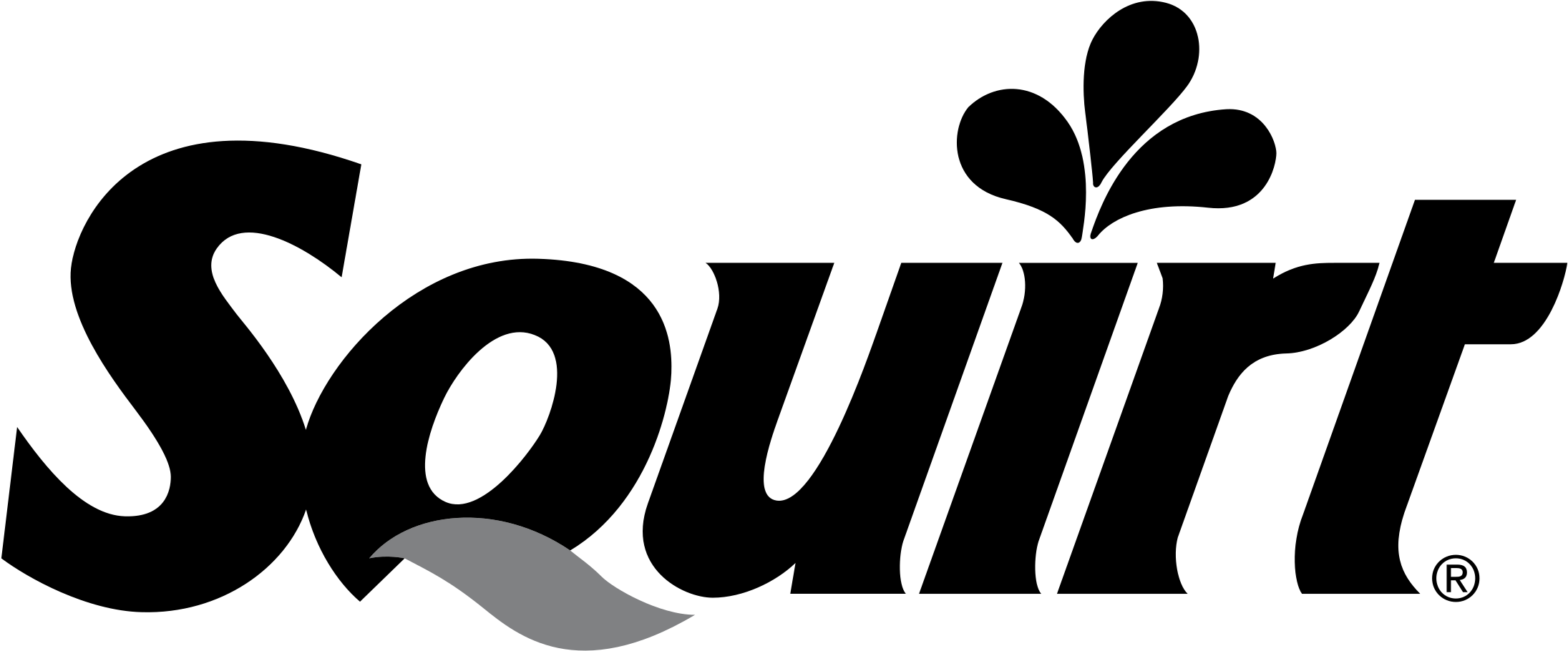 Squirt Logo Png Transparent Clipart (2400x2400), Png Download