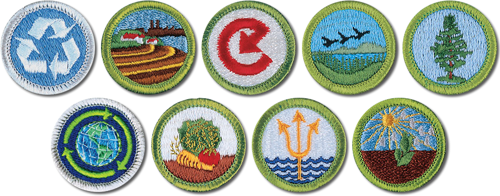 Eligible Boy Scout Merit Badges - Boy Scout Badges Png Clipart (1000x400), Png Download