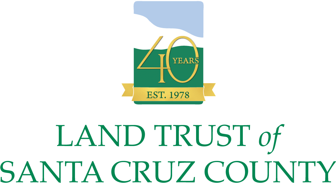 Graphic Design Clipart (1110x676), Png Download