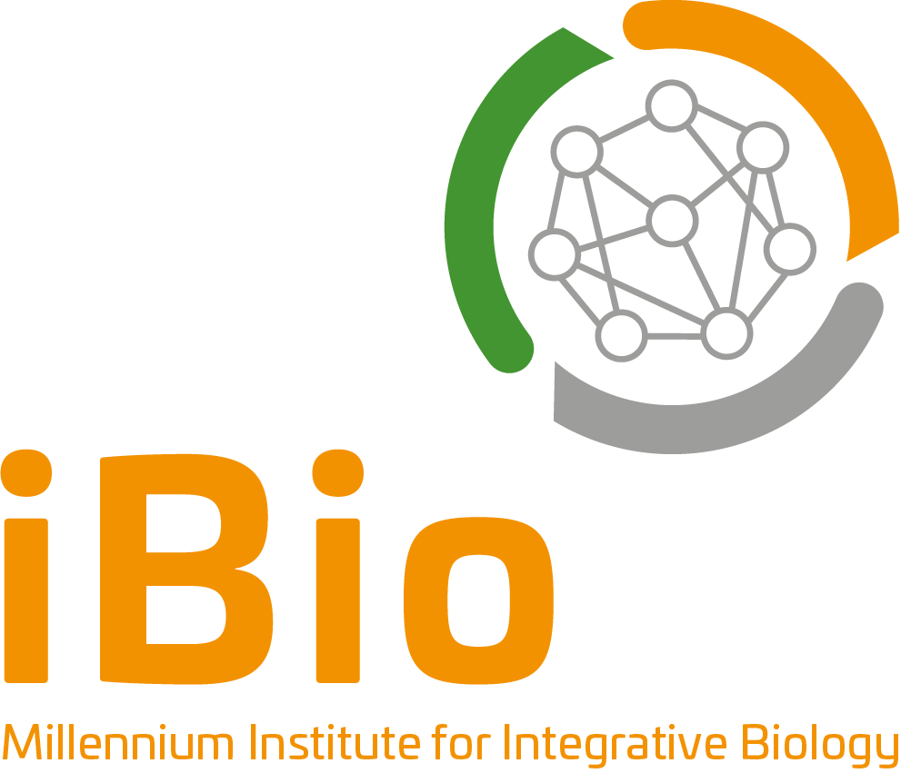 2018 12/marca Ing - Graphic Design Clipart (991x851), Png Download