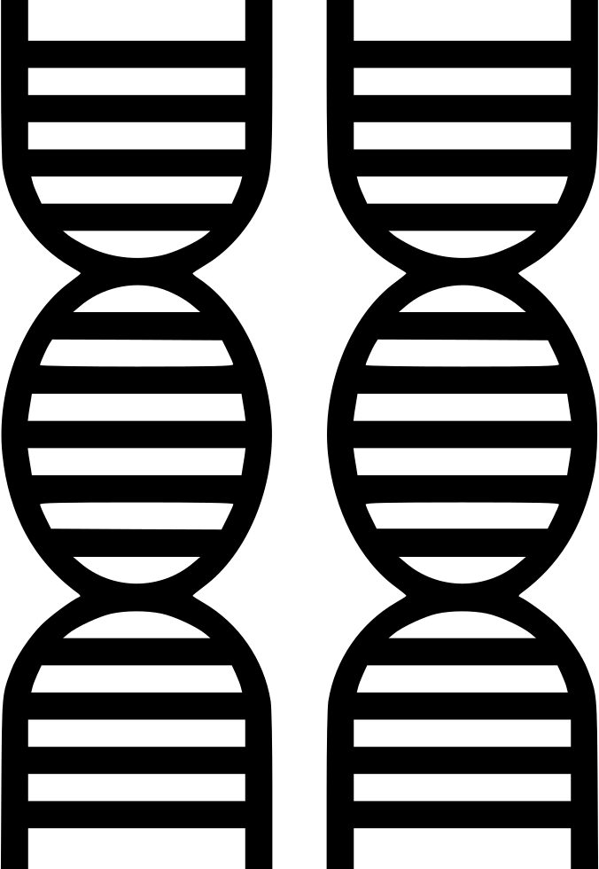 Png File Svg Clipart (676x980), Png Download