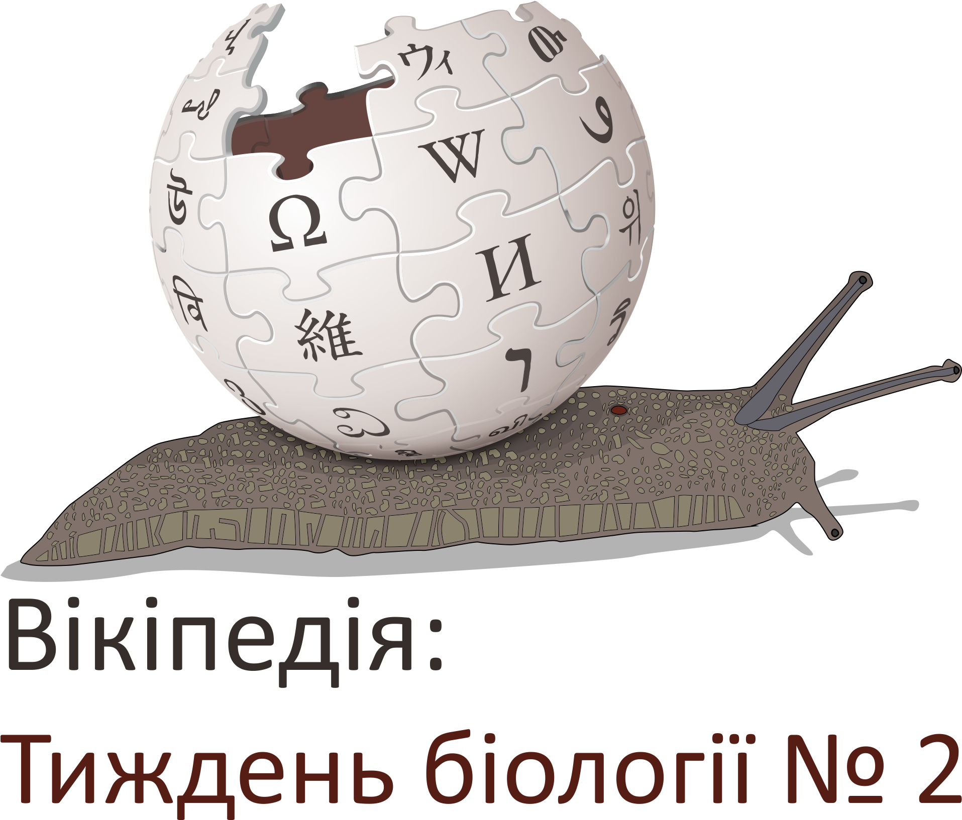 Biology Project Week 2 - Wikipedia Logo Icon Clipart (1984x1696), Png Download