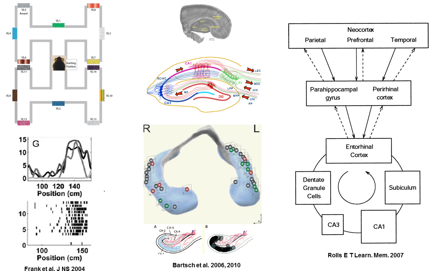 Biology , Png Download Clipart (1378x872), Png Download