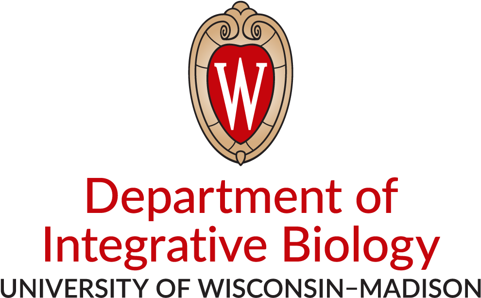 4-color Centered Logo - University Of Wisconsin-madison Clipart (1201x751), Png Download