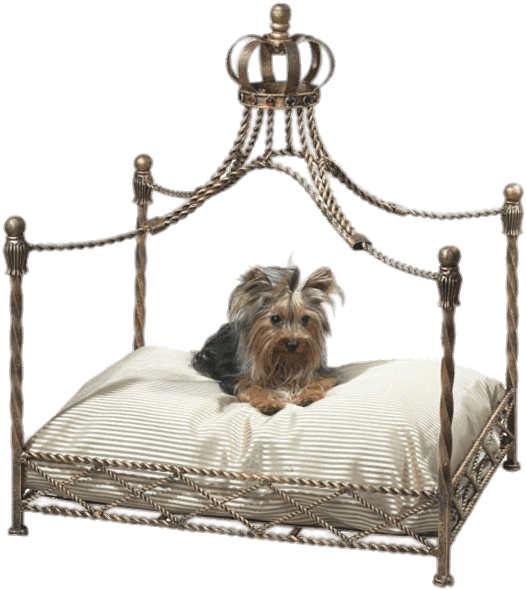 Download - Crown Dog Bed Clipart (612x612), Png Download