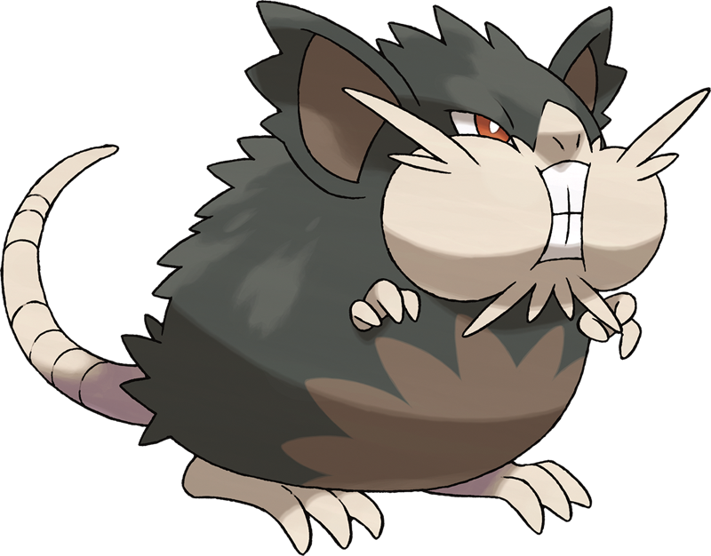 15,906,000 Exp - Alolan Raticate Clipart (800x626), Png Download