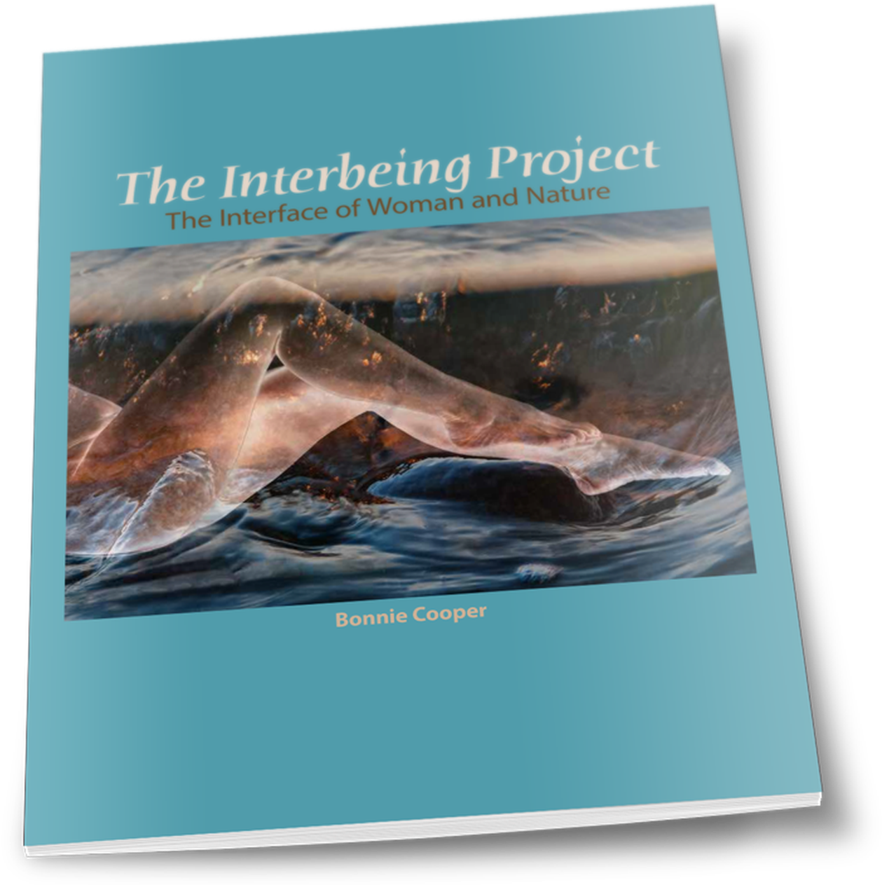 Whale Clipart (1292x1292), Png Download