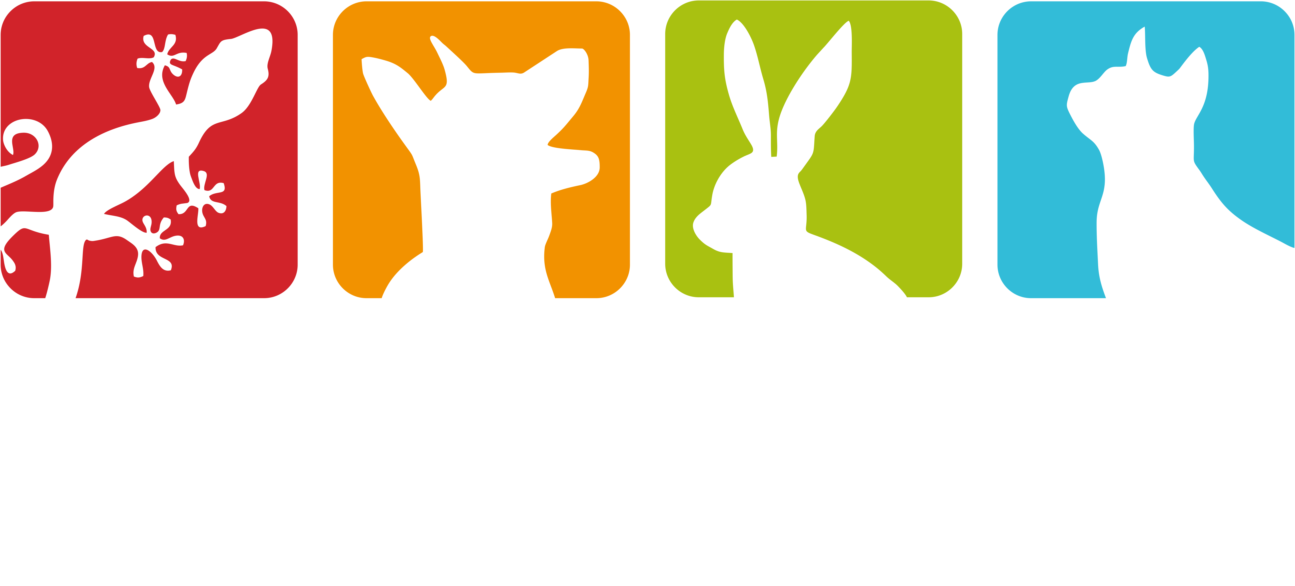 The Care Your Pets Deserve - Cartoon Clipart (4968x2245), Png Download