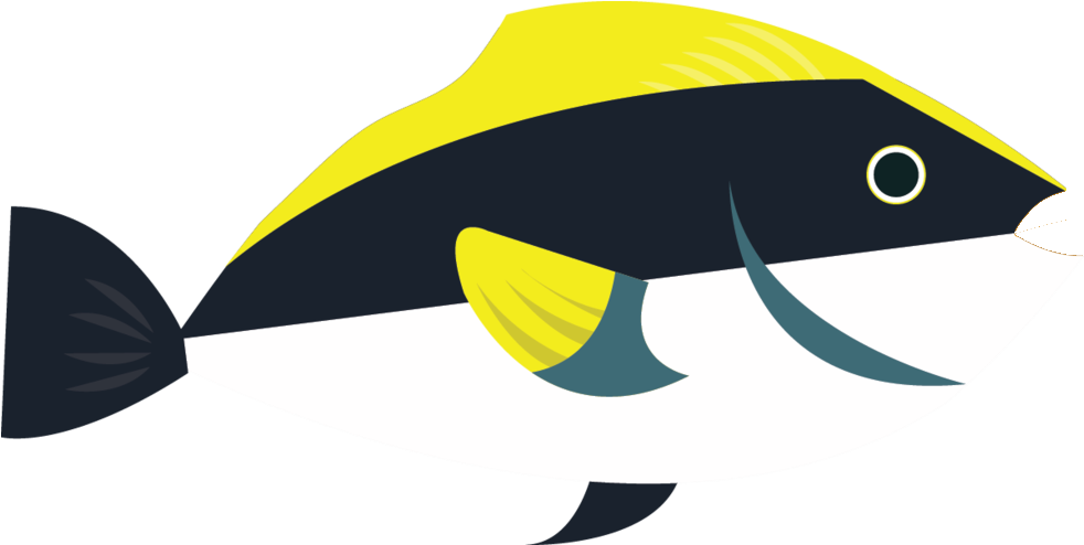 Most Plastic Doesn't Biodegrade - Peixes Com Lixo Png Clipart (1024x493), Png Download