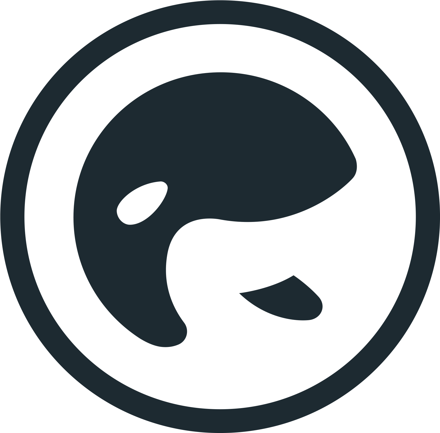 Orca Ico - Circle Clipart (2000x2000), Png Download