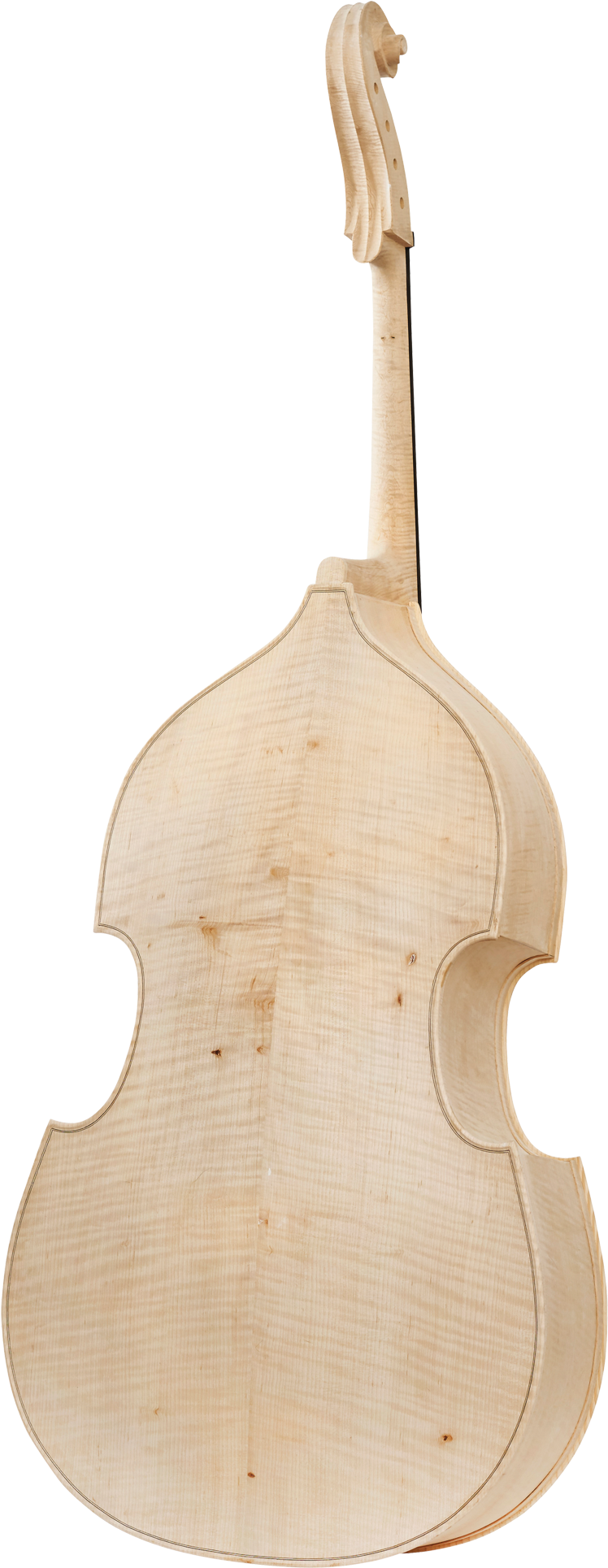 Viola , Png Download Clipart (748x1929), Png Download