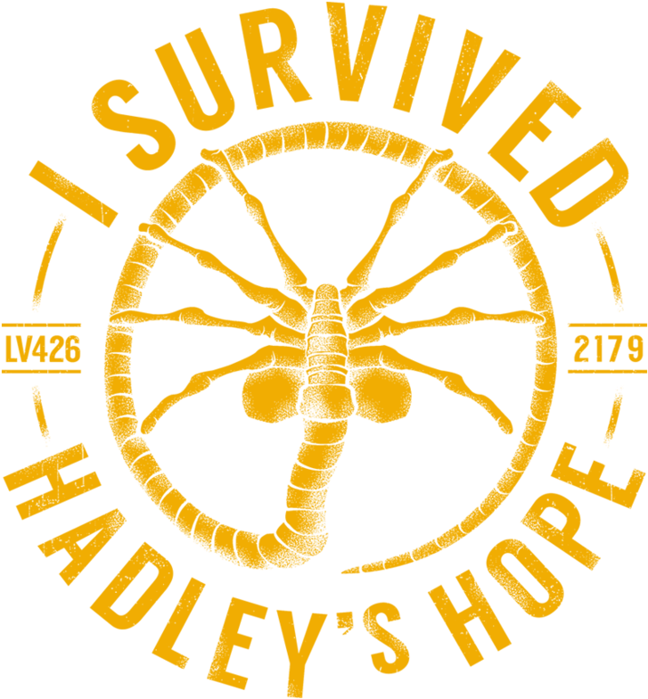 Circle Clipart (1024x887), Png Download