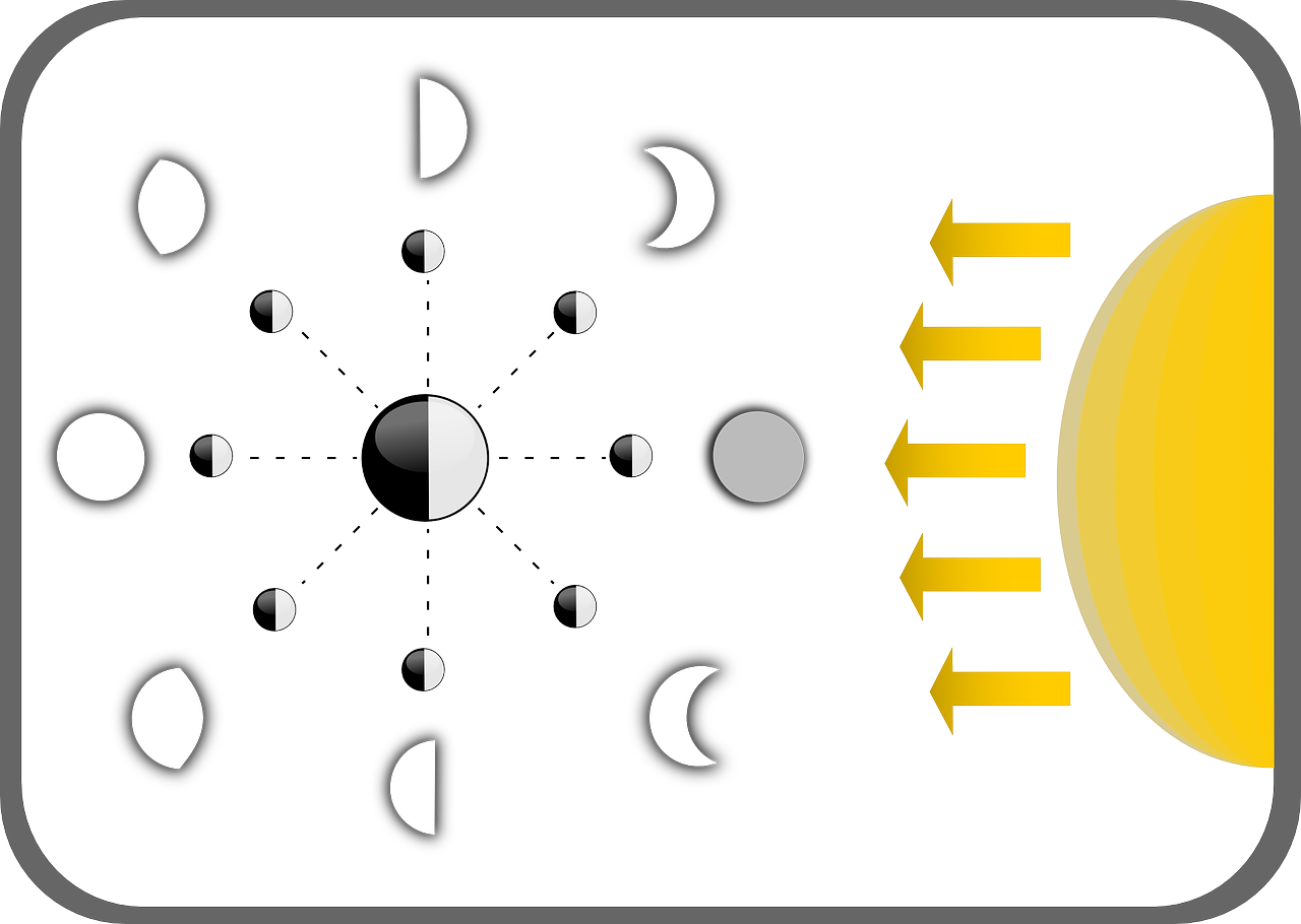 Phases Of The Moon - Phases Of The Moon For Kids Clipart (1280x910), Png Download