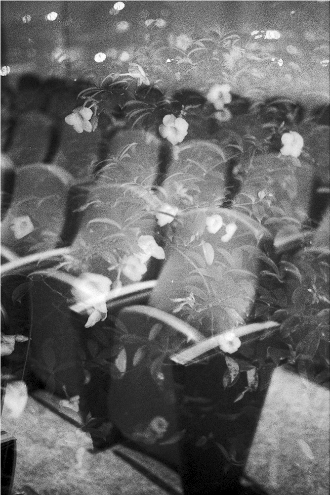 Sweetest Love Is Found In Death - Monochrome Clipart (867x1000), Png Download