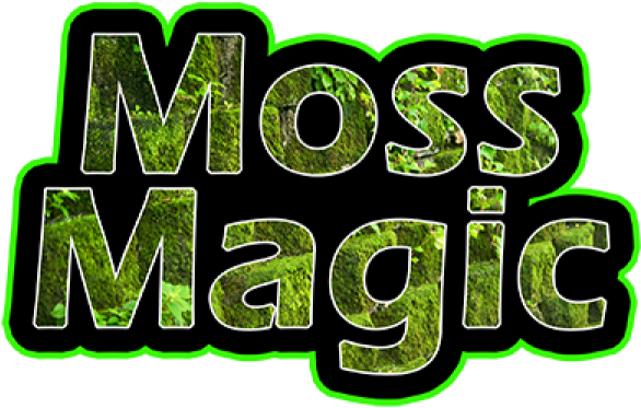 Moss Clipart Mold - Graphic Design - Png Download (600x600), Png Download
