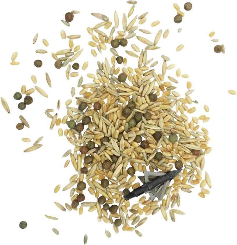 Frosty Feed™ - Food Grain Clipart (900x891), Png Download
