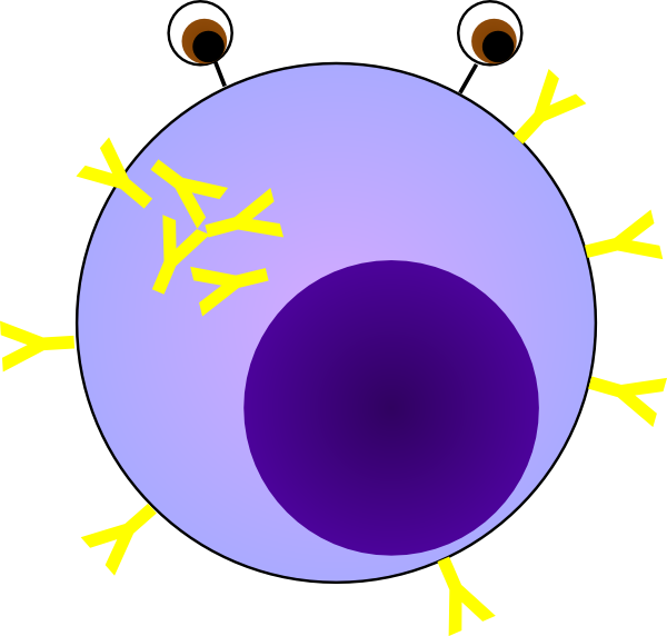 Small - Plasma Cell Clipart - Png Download (600x572), Png Download