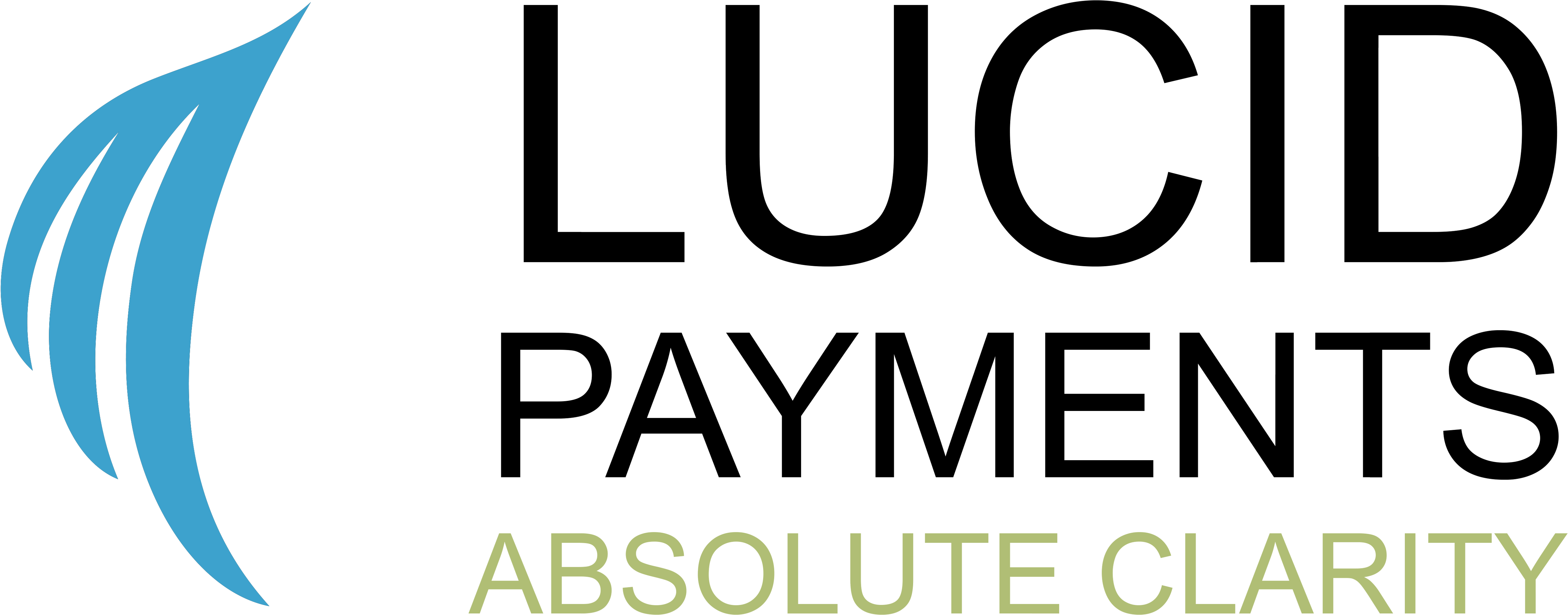 Lucid Payments - Second Amendment Clipart (6500x2406), Png Download