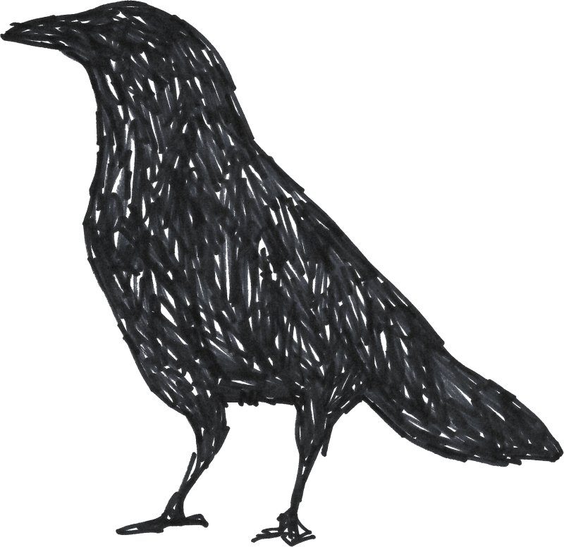 Crows Are Actually - Raven Low Poly Clipart (800x776), Png Download