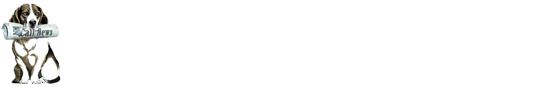 Calligraphy Clipart (1200x275), Png Download