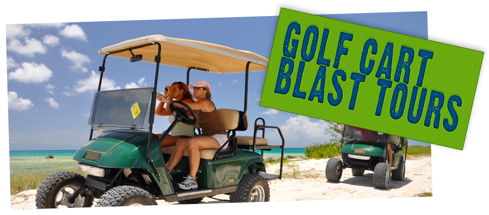 Golf Cart Clipart (1000x444), Png Download