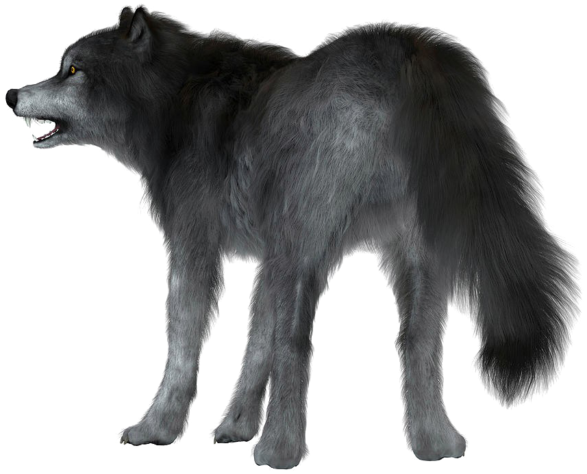 Wolf Tail Clipart (900x900), Png Download