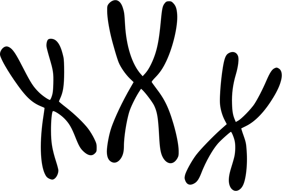 View large size Png File Svg - Chromosomes Icon Clipart. 