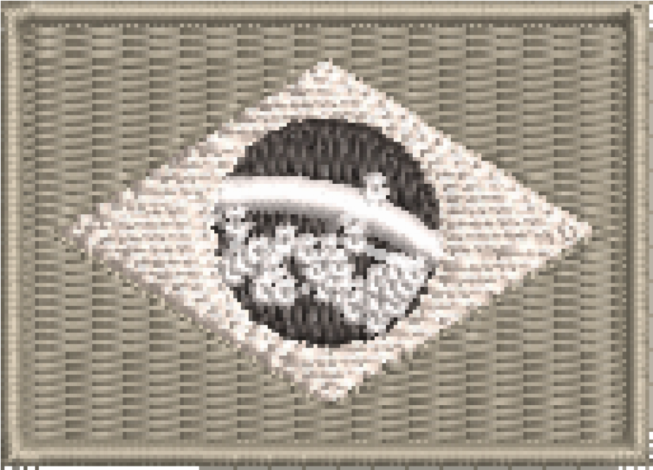 Bandeira Do Brasil Png , Png Download Clipart (927x667), Png Download