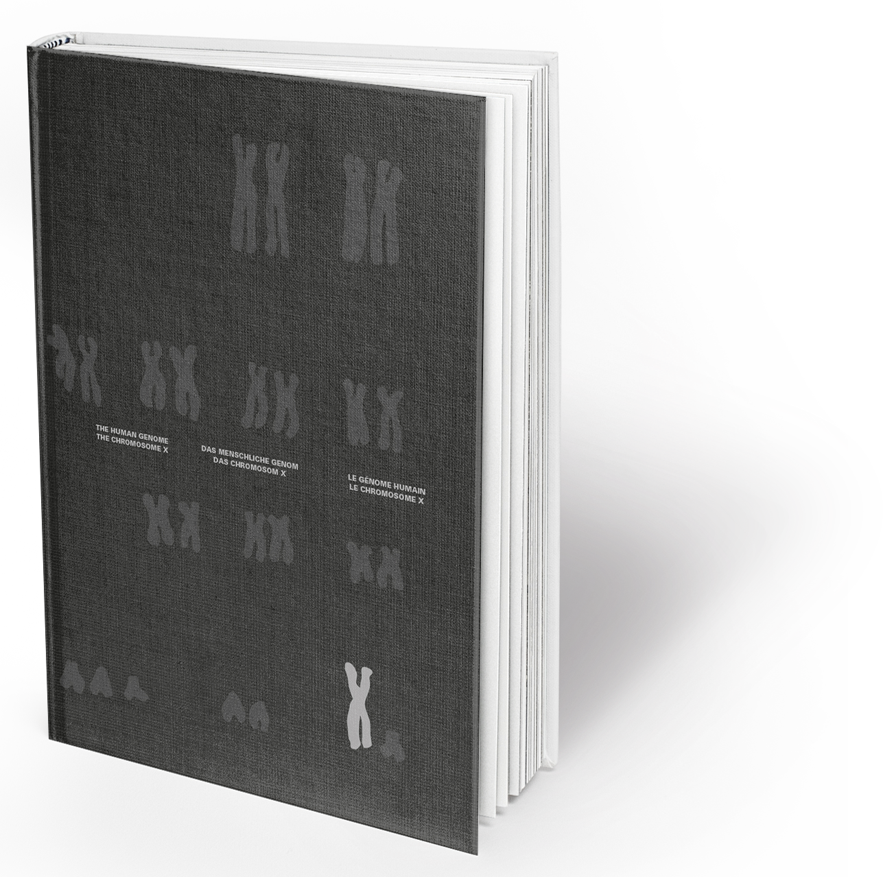 The Chromosome X And The Human Genome - Plywood Clipart (1287x1278), Png Download