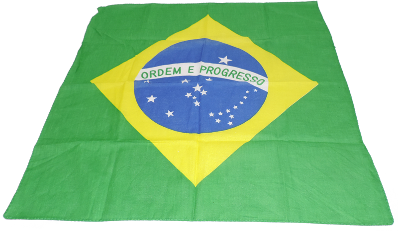 Lenço Bandeira Do Brasil - Stitch Clipart (800x465), Png Download