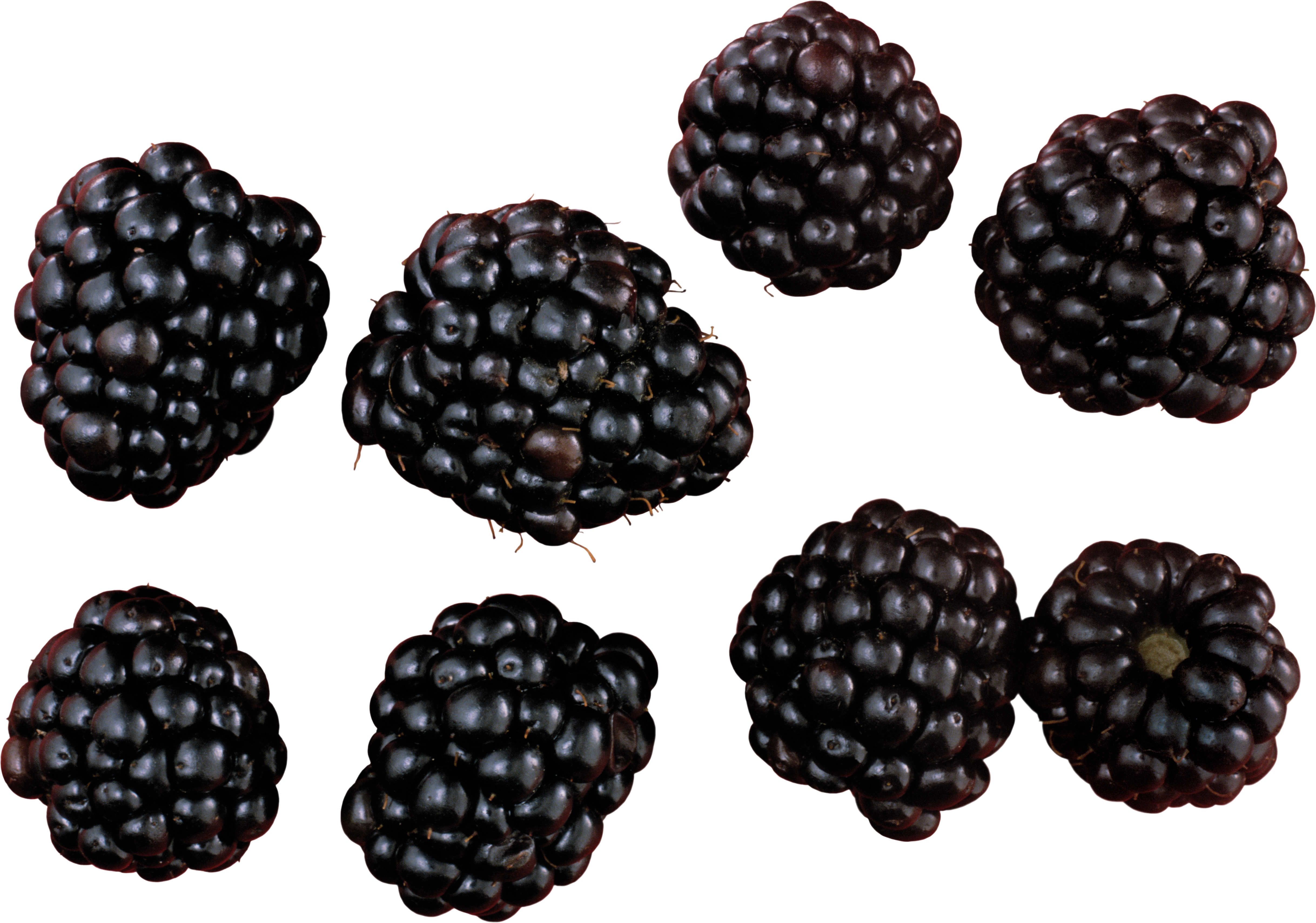 Blackberry Variations - Blackberry Png Clipart (4872x3417), Png Download