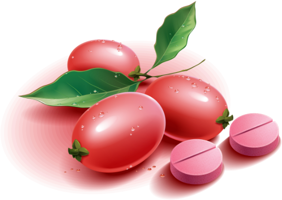 Miracle Berry Tablets - Lingonberry Clipart (752x502), Png Download