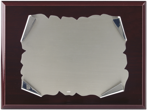 Placa De Homenaje Alpaca Pergamino - Picture Frame Clipart (555x555), Png Download