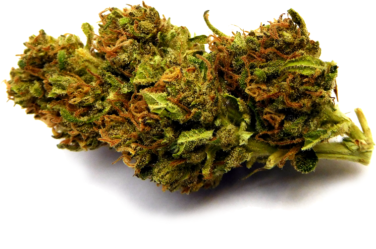 Blueberry#2 Nobg-stickybydz - Non-vascular Land Plant Clipart (1000x652), Png Download