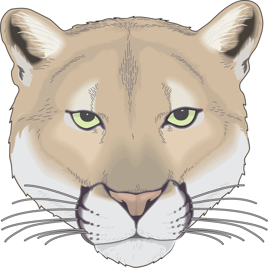 Cougar - Carmel Middle School Cougar Clipart (899x899), Png Download