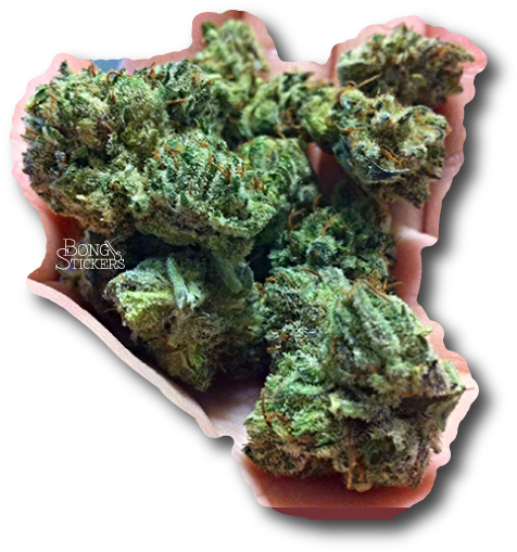 Diamon Dog Weed Sticker - Moss Clipart (600x600), Png Download