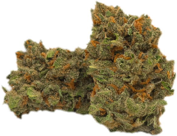 Jack Herer - Scale Model Clipart (700x641), Png Download