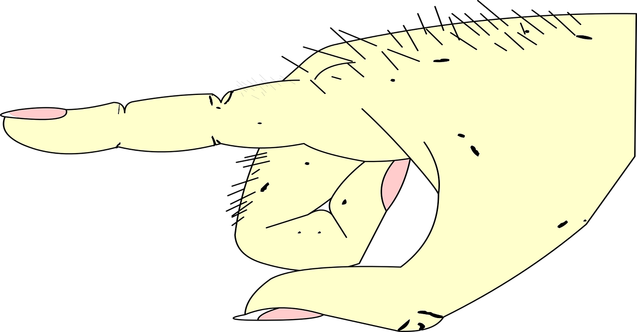 Hand Clipart (1280x668), Png Download