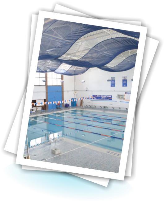 Boise State University Pool - Swimming Pool Clipart (529x646), Png Download