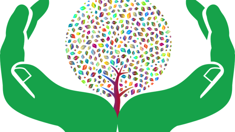 The Intersection Of Religion And Environmentalism - Open Hands Clip Art - Png Download (808x454), Png Download