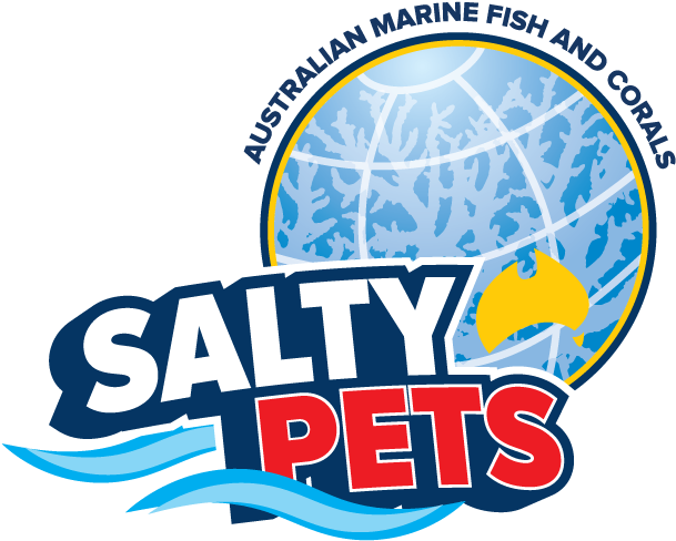 Salty Pets Pty Ltd Clipart (619x608), Png Download