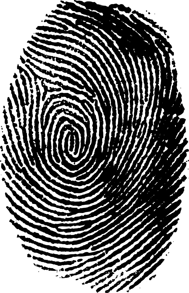 Finger Prints Png - Finger Print Black Png Clipart (647x1000), Png Download