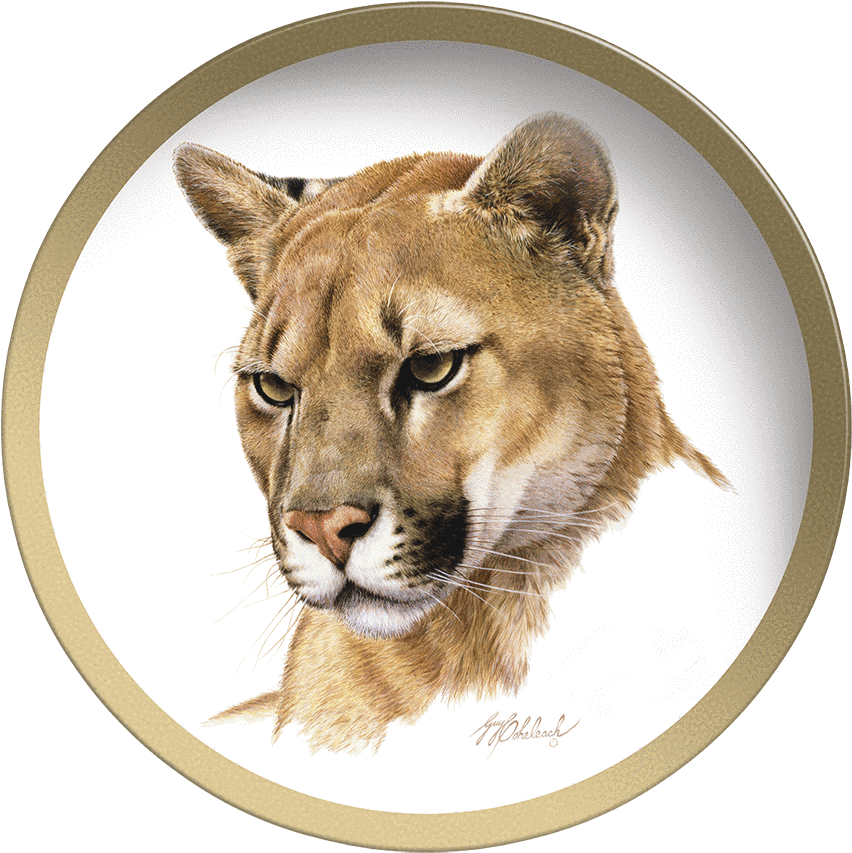 Guy Coheleach Clipart (1000x1000), Png Download